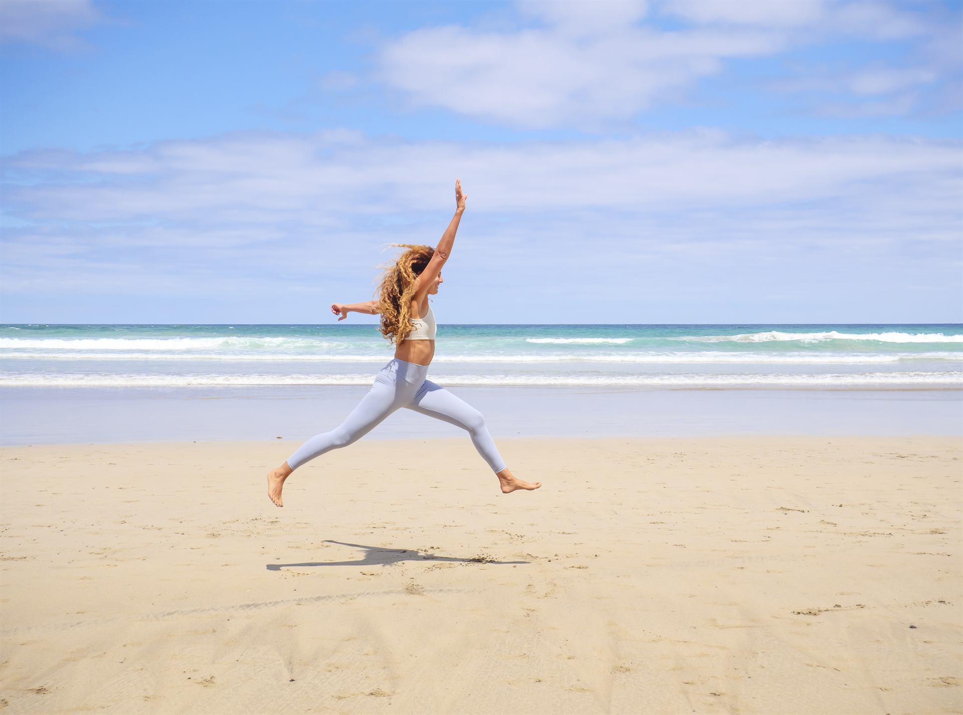 Bird dog on the beach